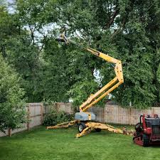 Best Hazardous Tree Removal  in Marietta Alderwood, WA